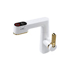 Jittgo Single-Hole Pull-Out Faucet with Temperature Display G450