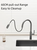 Jittgo Pull-Down Reversible Kitchen stainless Faucet JT -C26